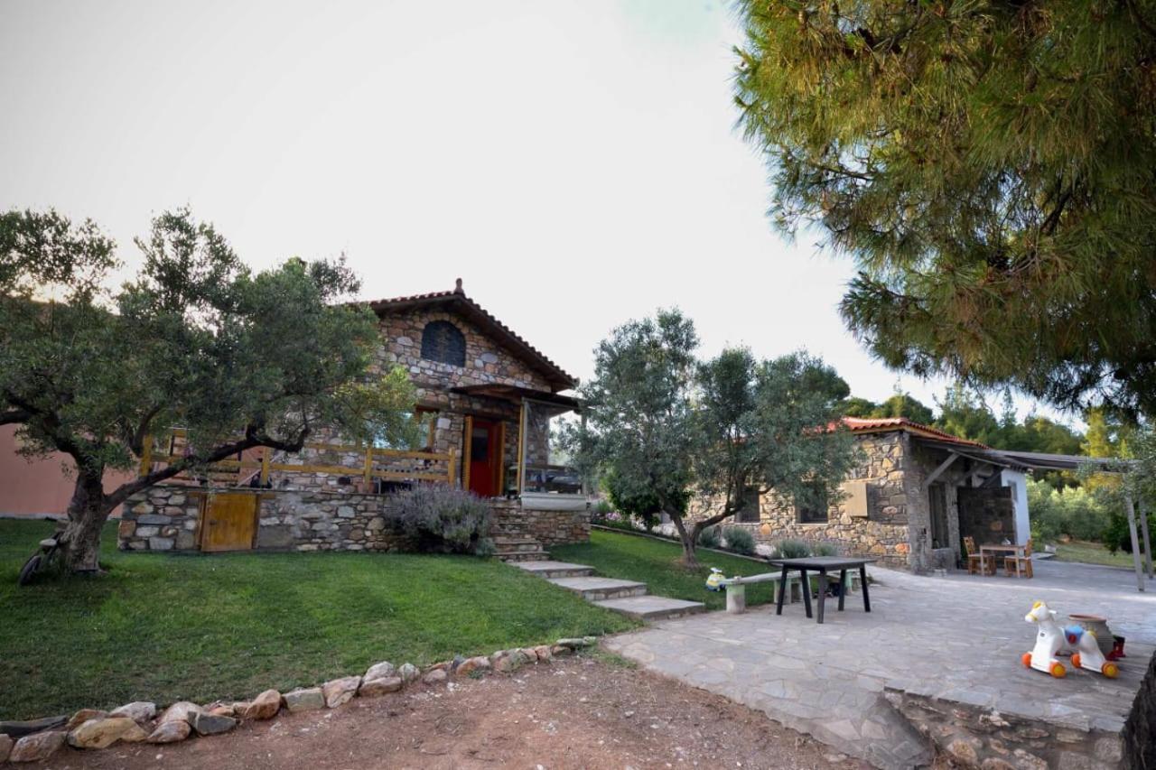 Villa Kladi House Renovated 2023 Nikiti  Esterno foto