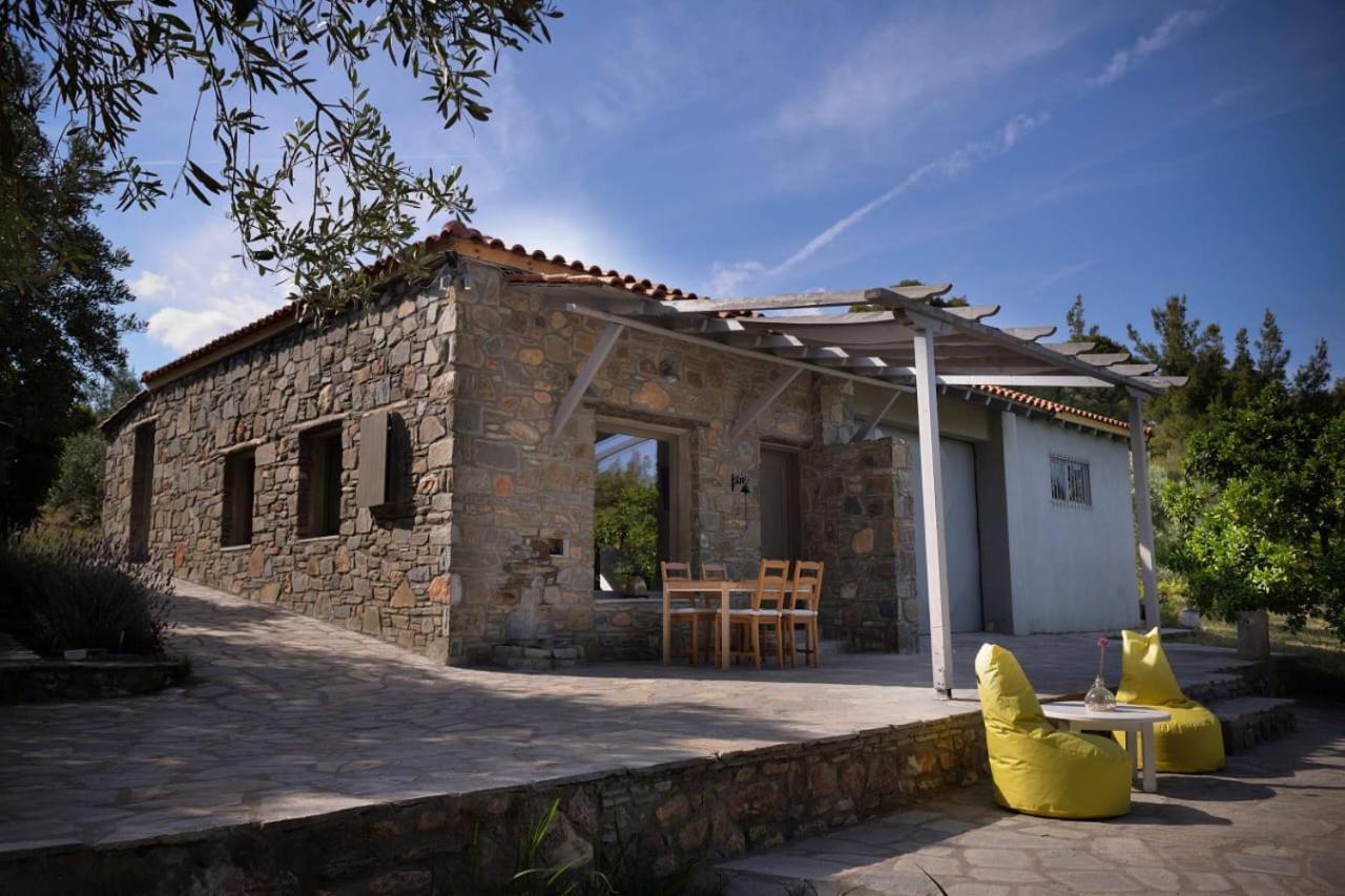 Villa Kladi House Renovated 2023 Nikiti  Esterno foto
