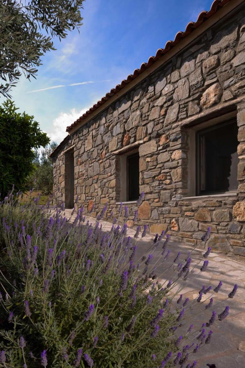 Villa Kladi House Renovated 2023 Nikiti  Esterno foto